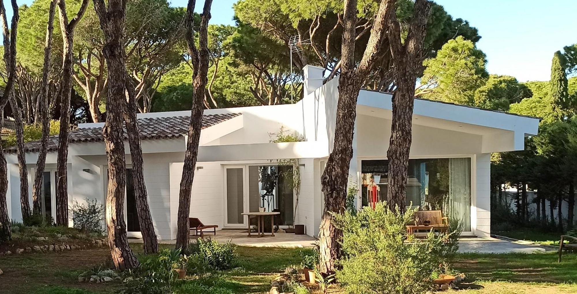 Diseno Y Luz Entre Pinos *